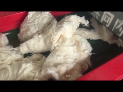 800F model 6mm schermgat, katoensnijmachine, snijmachinevermaler